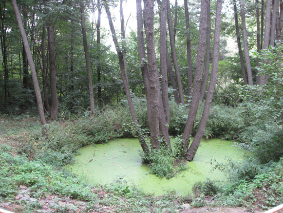 Image - A view of Kholodnyi Yar, near Chyhyryn, Cherkasy oblast.